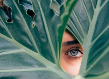 SACO, précurseurs de mode